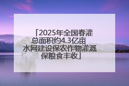 2025年全国春灌总面积约4.3亿亩 水网建设保农作物灌溉 保粮食丰收