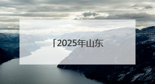 2025年山东省“百城千校万企”民企高校携手促就业行动暨潍坊市职教活动周启动