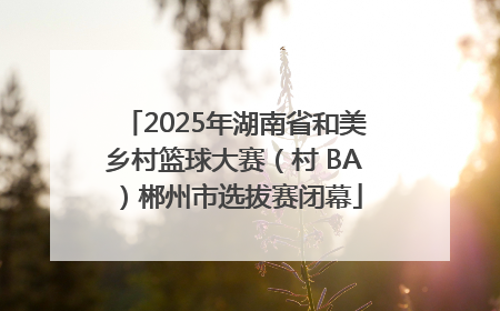 2025年湖南省和美乡村篮球大赛（村 BA）郴州市选拔赛闭幕