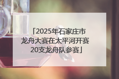 2025年石家庄市龙舟大赛在太平河开赛 20支龙舟队参赛