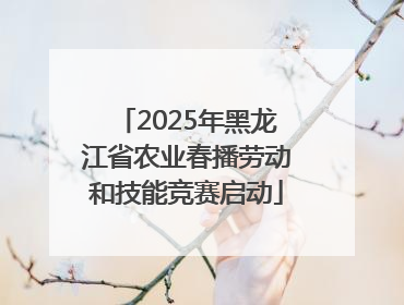 2025年黑龙江省农业春播劳动和技能竞赛启动