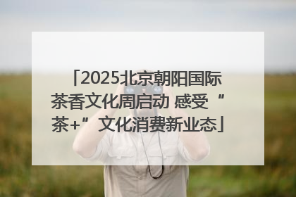2025北京朝阳国际茶香文化周启动 感受“茶+”文化消费新业态