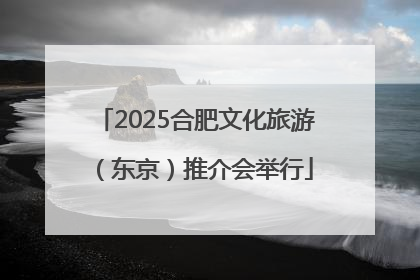 2025合肥文化旅游（东京）推介会举行