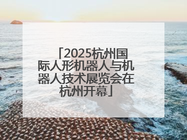 2025杭州国际人形机器人与机器人技术展览会在杭州开幕