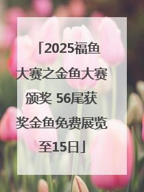 2025福鱼大赛之金鱼大赛颁奖 56尾获奖金鱼免费展览至15日
