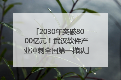2030年突破8000亿元！武汉软件产业冲刺全国第一梯队