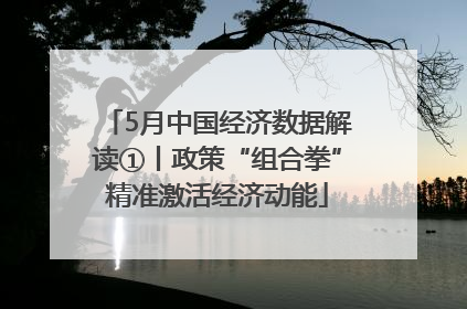 5月中国经济数据解读①丨政策“组合拳”精准激活经济动能