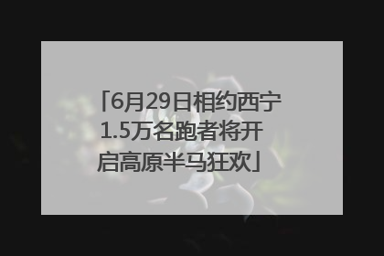6月29日相约西宁 1.5万名跑者将开启高原半马狂欢