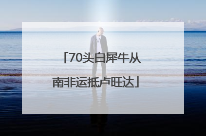 70头白犀牛从南非运抵卢旺达
