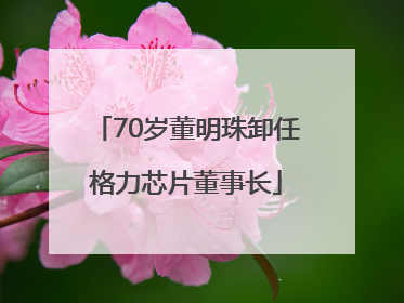 70岁董明珠卸任格力芯片董事长