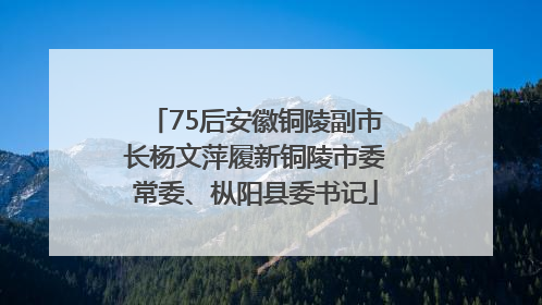 75后安徽铜陵副市长杨文萍履新铜陵市委常委、枞阳县委书记