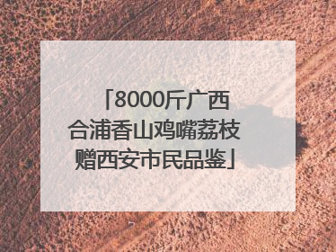 8000斤广西合浦香山鸡嘴荔枝赠西安市民品鉴